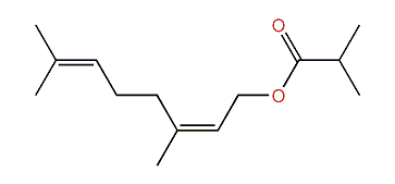 (E)-3,7-Dimethyl-2,6-octadienyl isobutyrate